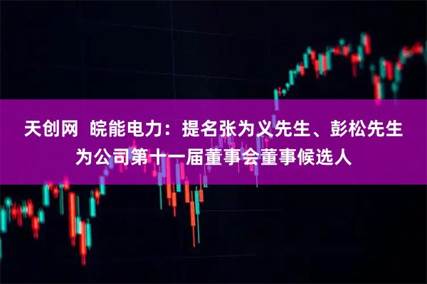 天创网  皖能电力：提名张为义先生、彭松先生为公司第十一届董事会董事候选人